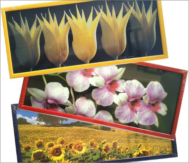 Set of 10 frames 20x49 cm with images of flower