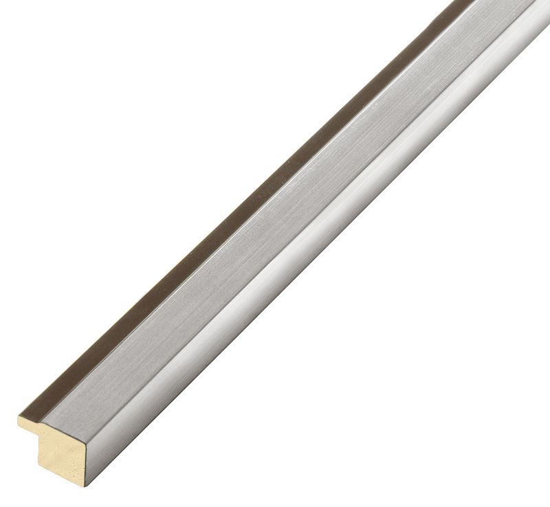 Moulding ayous, Width 20mm Height 15 - Silver, black fillet - 125ARG