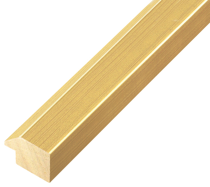 Moulding ayous, width 28mm height 20 - Gold - 128ORO