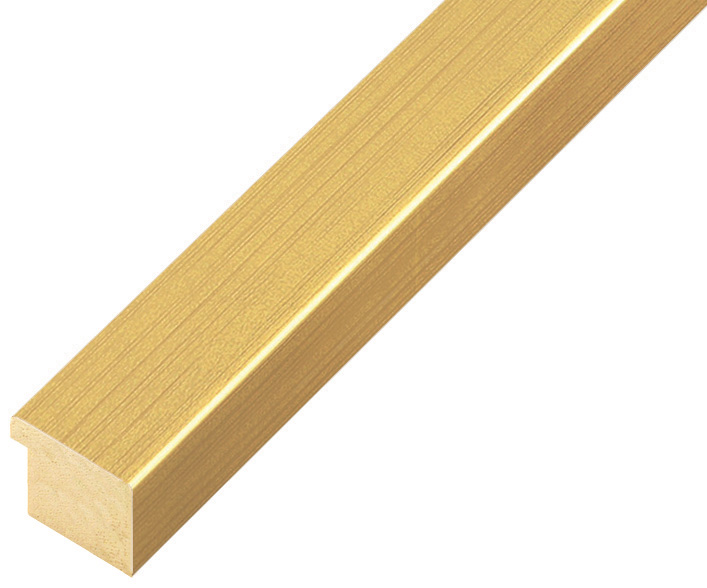 Moulding ayous, width 20mm height 14 - gold