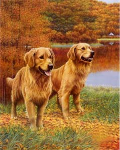 Painting: Dogs - 30x40 cm