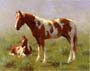 Painting: Horses - 30x40 cm
