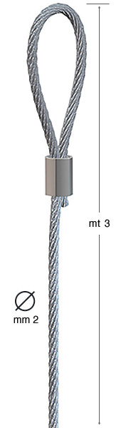 Steel wire with loop - 3 meters - diam. 2 mm