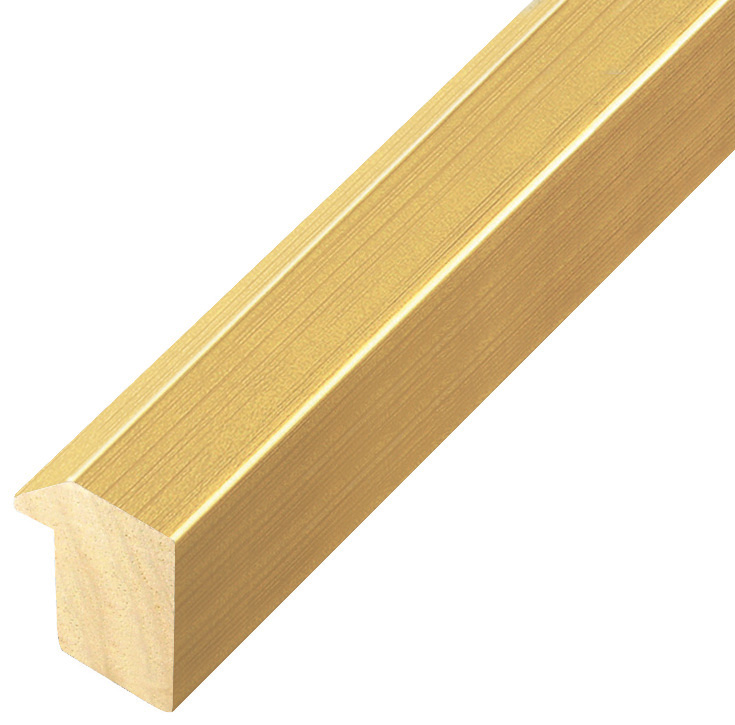 Moulding ayous, width 27mm height 35 - Gold