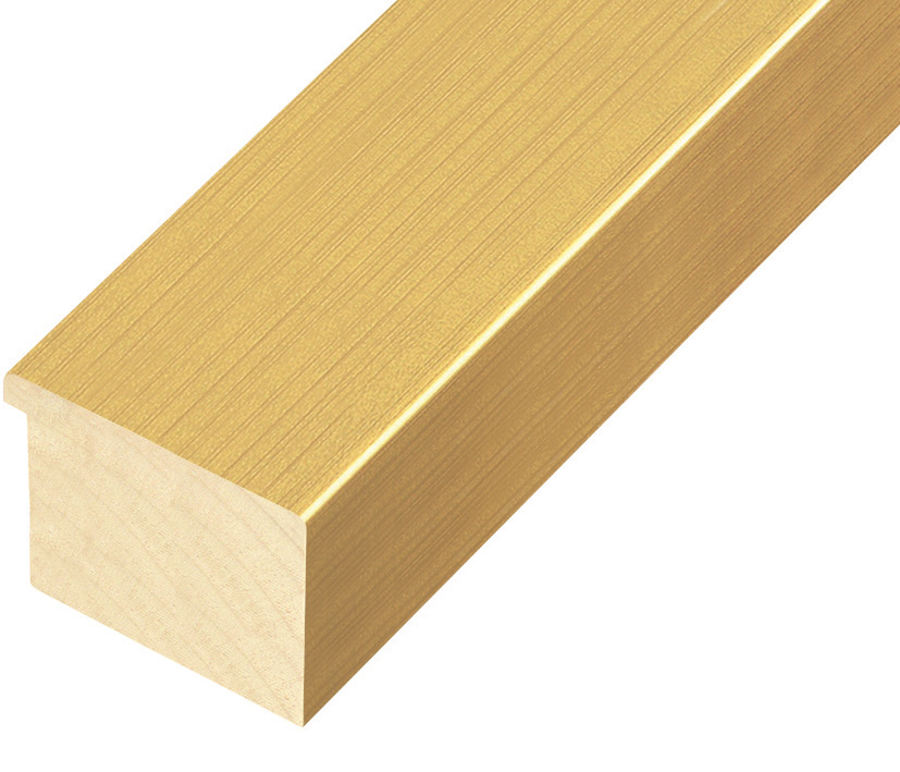 Moulding ayous, width 48mm height 32 - gold