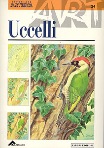 Italian brochure, Diventare artisti: Uccelli