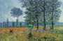 Poster on canvas: Monet: Felder im fruhling 120x90 cm