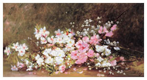 Poster: Boulanger: Apple Blossoms - cm 48x28