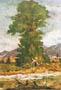 Print: Ghedini: L'albero - cm 50x70