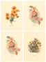 Set of 4 prints: Oriental Flowers - cm 25x35