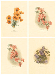 Set of 4 prints: Oriental Flowers - cm 13x18