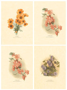 Set of 4 prints: Oriental Flowers - cm 25x35