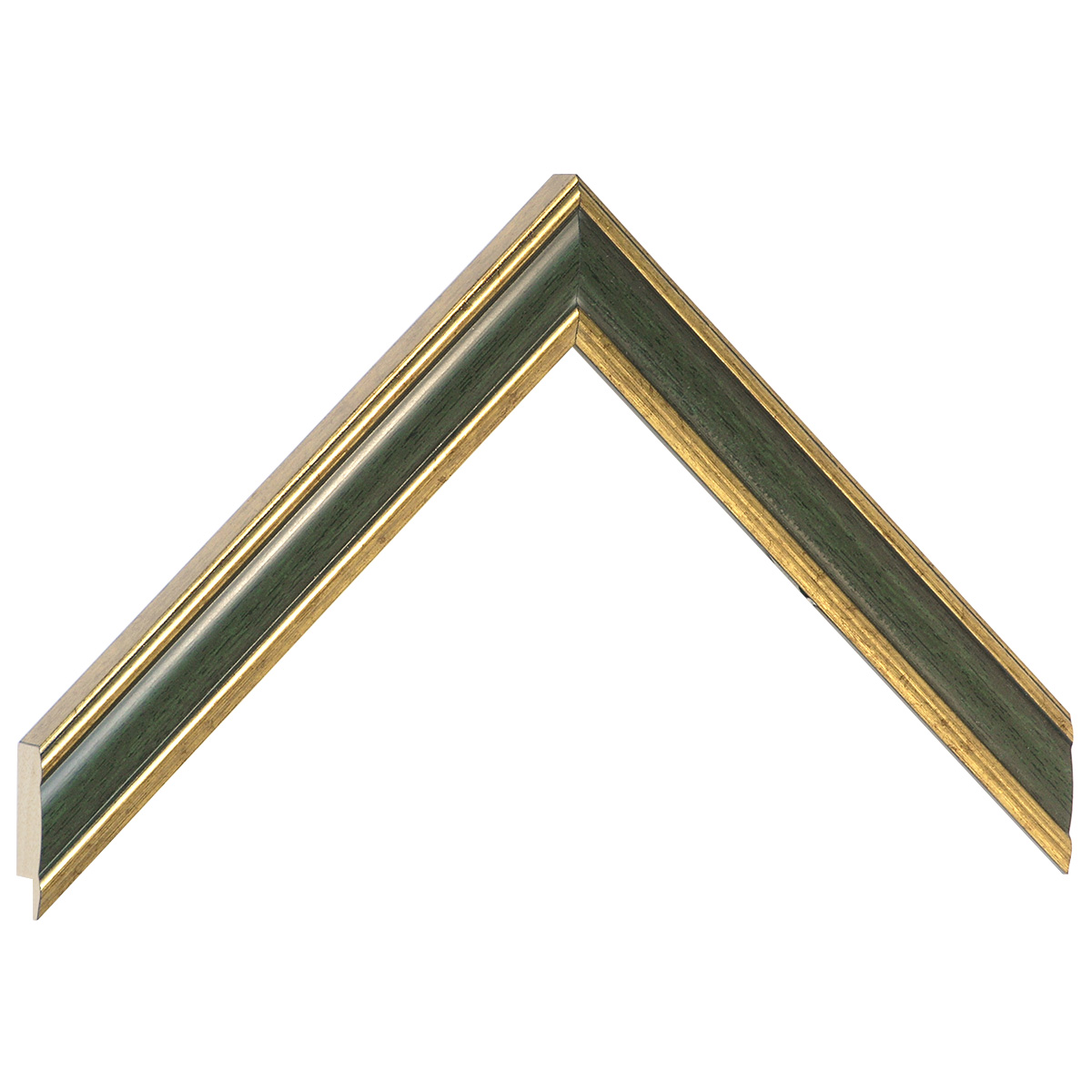 Moulding ayous jointed width 24mm - Gold with olive green band - Sample