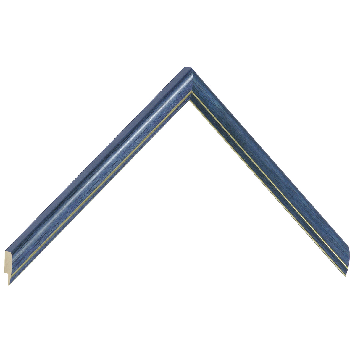 Moulding ayous jointed 13mm - blue with golden edge - Sample