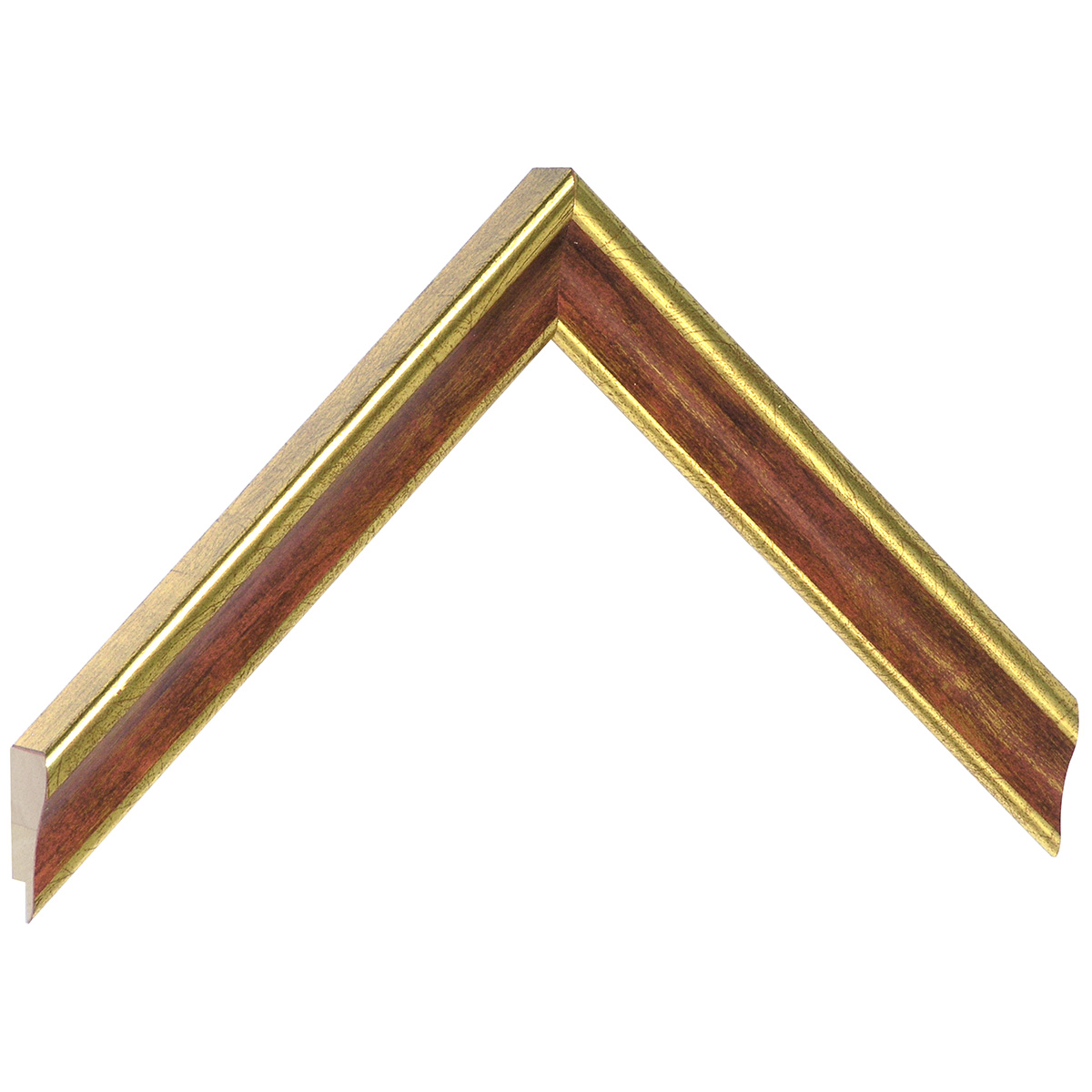 Moulding ayous jointed - Width 23mm - Gold with red band - Sample