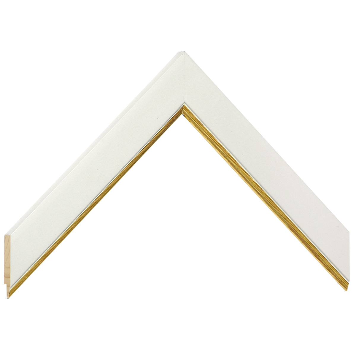 Liner ayous jointed 25mm - flat, white, gold edge - Sample