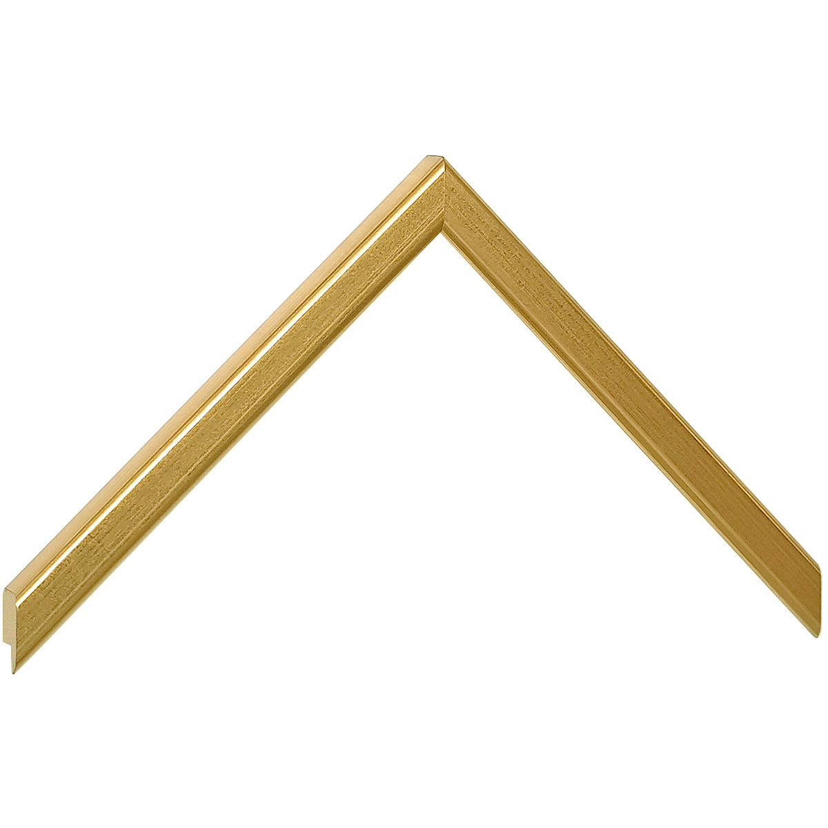 Moulding ayous, width 14mm - finish gold - Sample