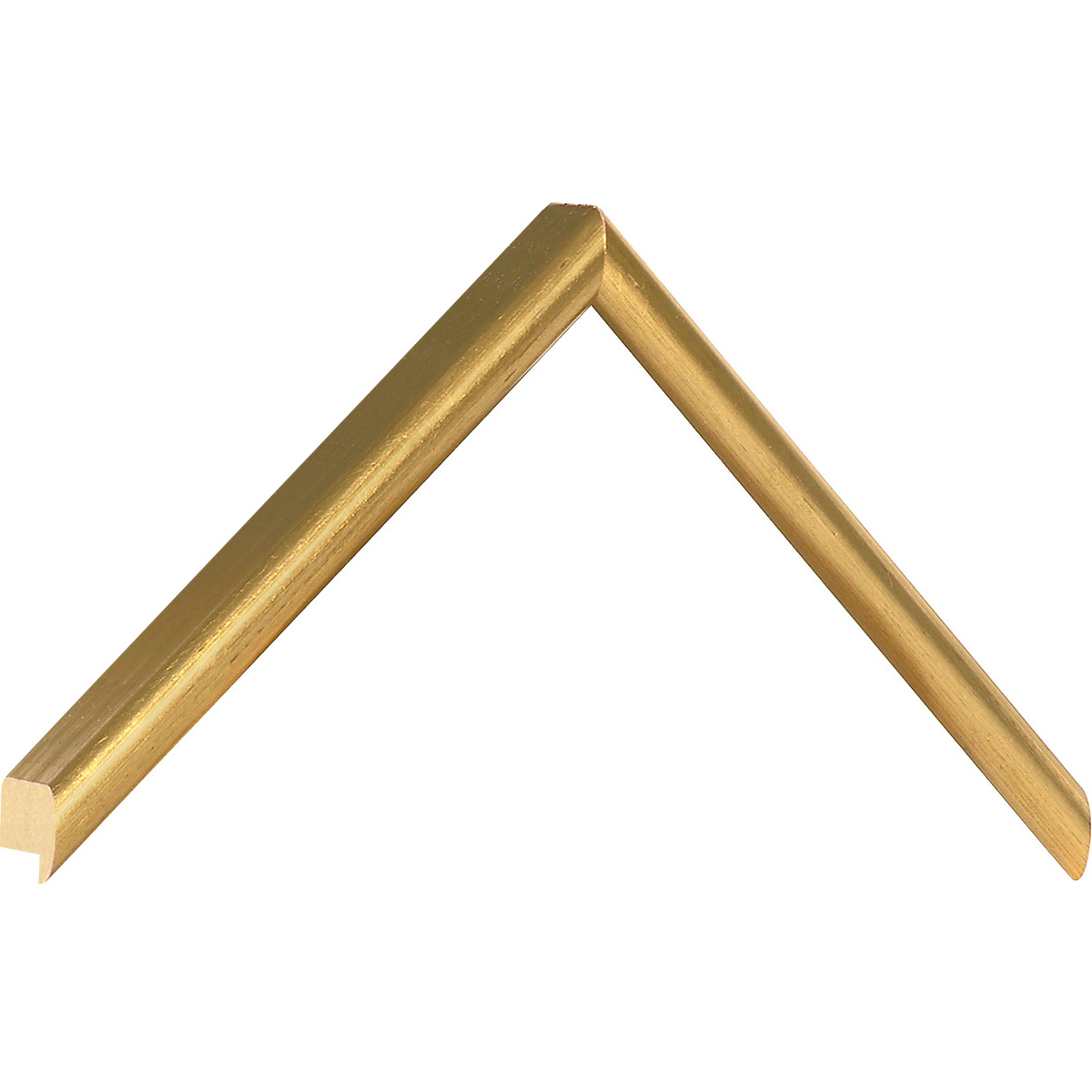 Moulding ayous, width 15mm, height 25, gold - Sample
